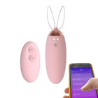 Multiple Modes Wireless Remote Control G Spot Vibrating Eggs With App