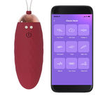 Rechargeable Bluetooth Sex Toy , Wireless Love Egg Vibrator Vagina Massage