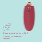 Pink Mini Egg Style Vibrator Bullet For Women Vibrating Ball Remote Control