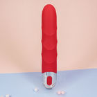 Waterproof Rechargeable Adult Sex Vibrator , G Spot Vibrator For Women