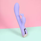 Purple USB 10 Vibration Rabbit Personal Massager